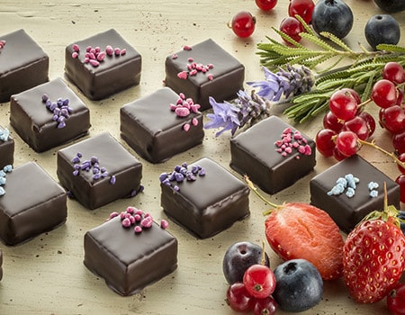 Christian Camprini partner of Les Armoiries de Valbonne Hotel