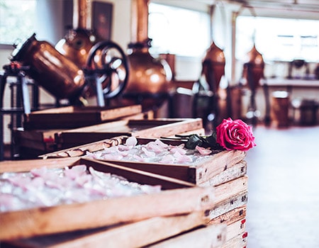 Galimard partner of Les Armoiries de Valbonne Hotel